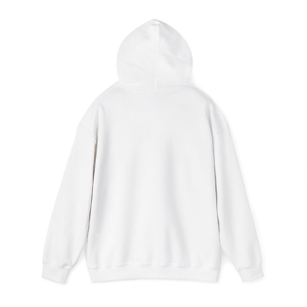 Hoodie — 'INVESTIGALS' Minimalist Feminist Investigation Squad Sweatshirt