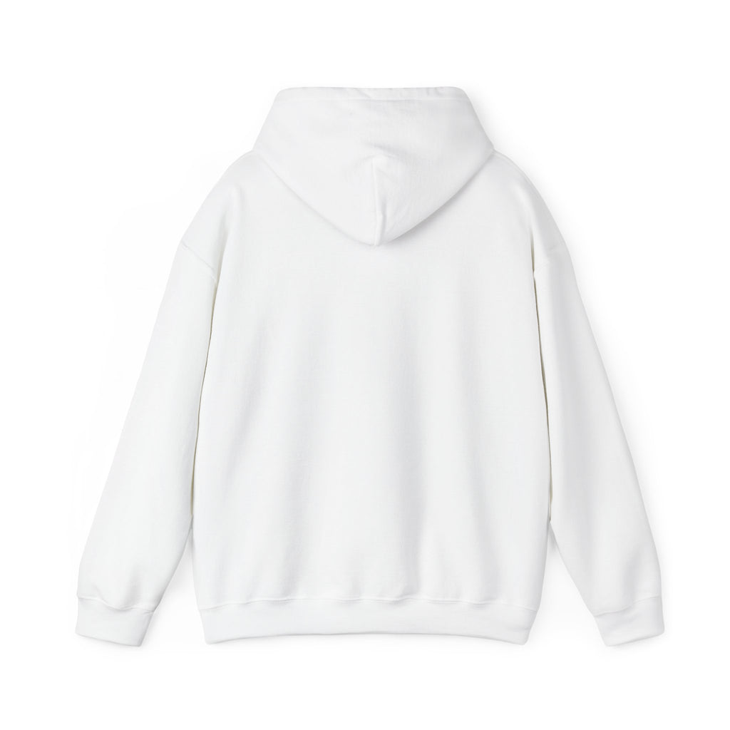 Hoodie — 'INVESTIGALS' Minimalist Feminist Investigation Squad Sweatshirt
